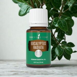 🌱NEW🌱 EUCALYPTUS RADIATA ESSENTIAL OIL 15ML by YOUNG LIVING
